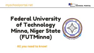 Federal University of Technology Minna, Niger State (FUTMinna)