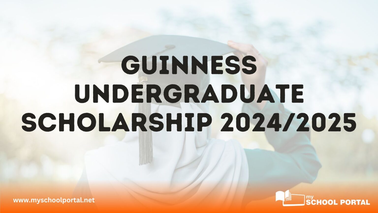 Guinness Undergraduate Scholarship 2024/2025