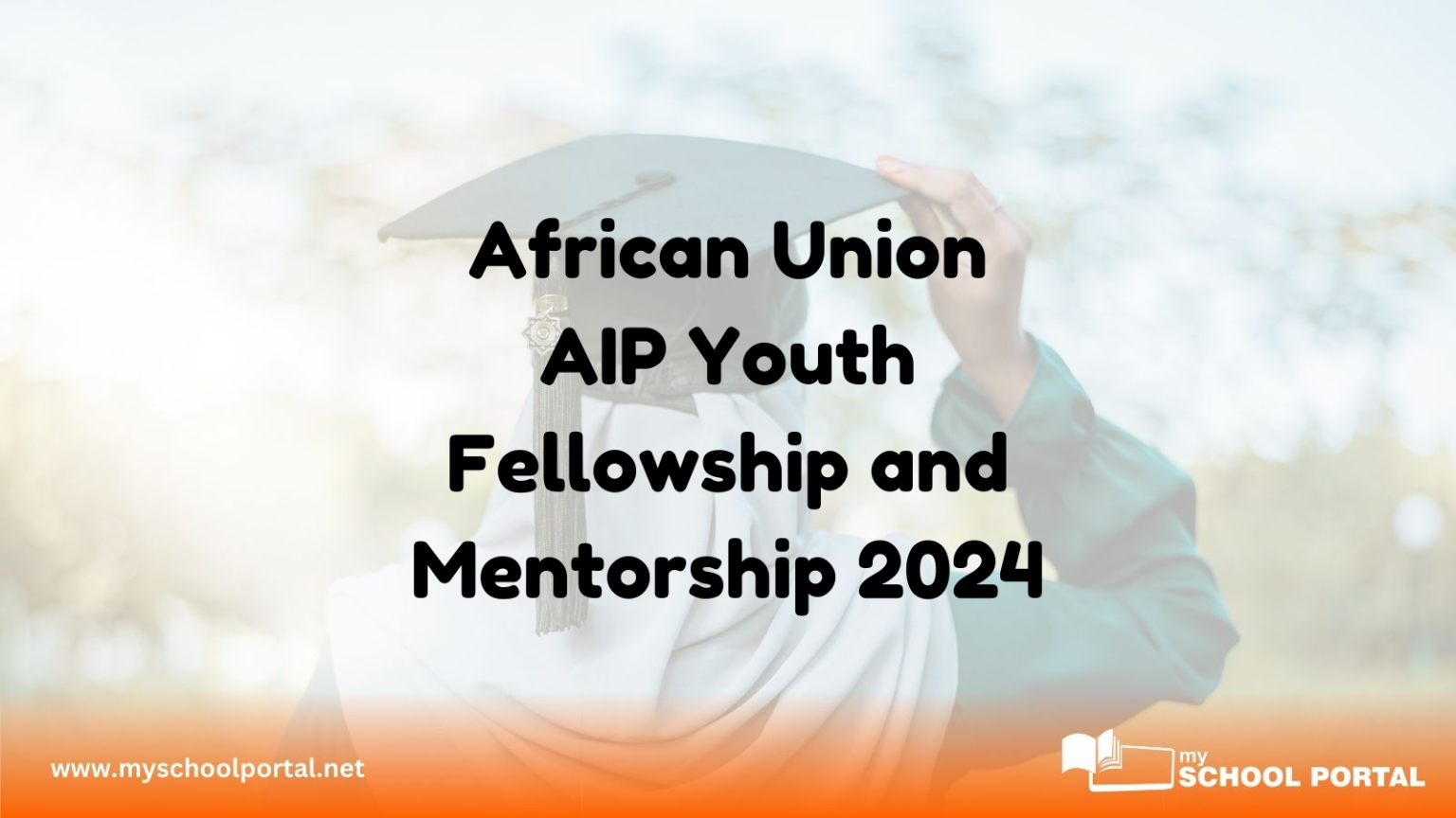 African Union AIP Youth Fellowship and Mentorship 2024