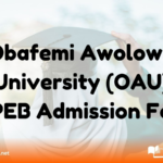 Obafemi Awolowo University (OAU) JUPEB Admission Form