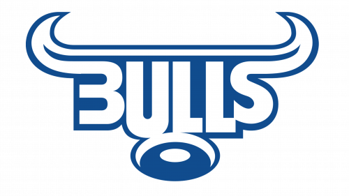 Bulls Logo