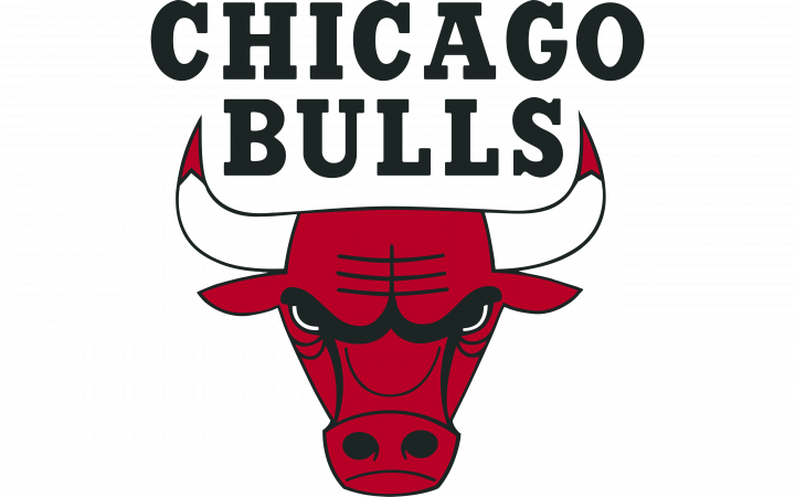 Chicago Bulls Logo PNG