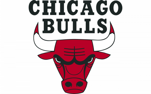 Chicago Bulls Logo