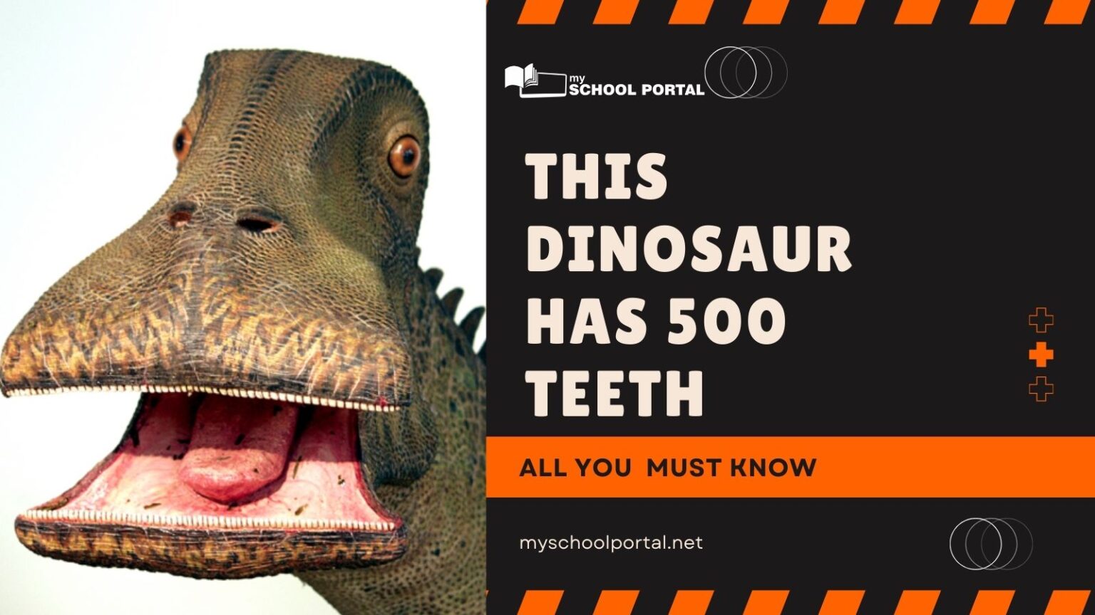 what dinosaur has 500 teeth