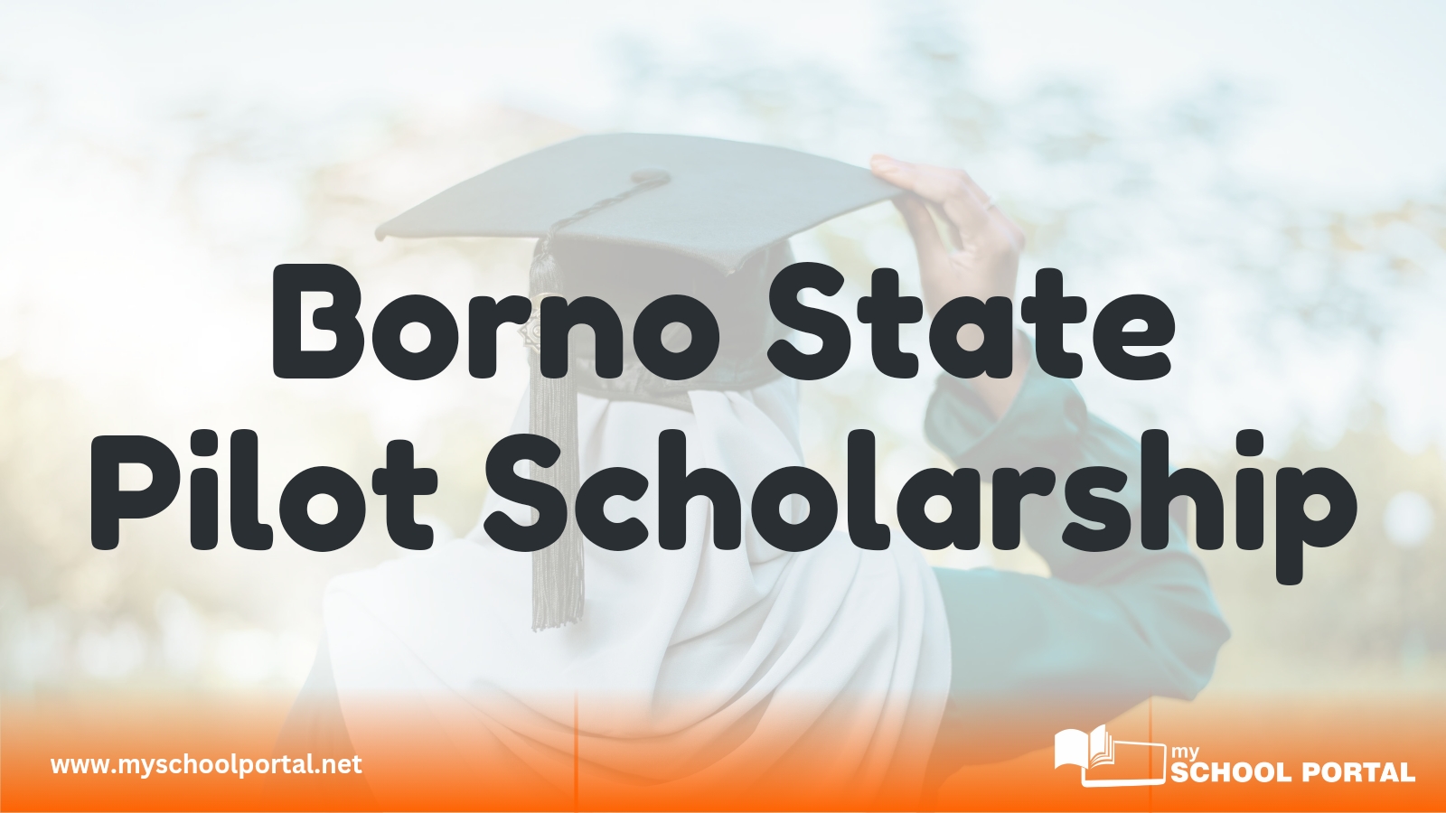 Borno State Pilot Scholarship