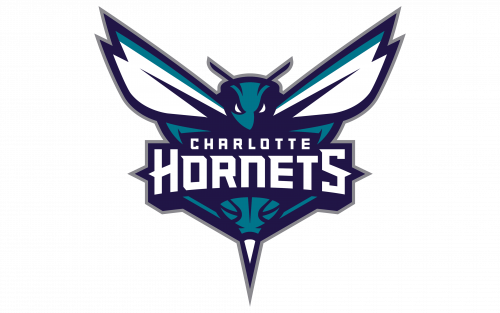 Charlotte Hornets Logo PNG