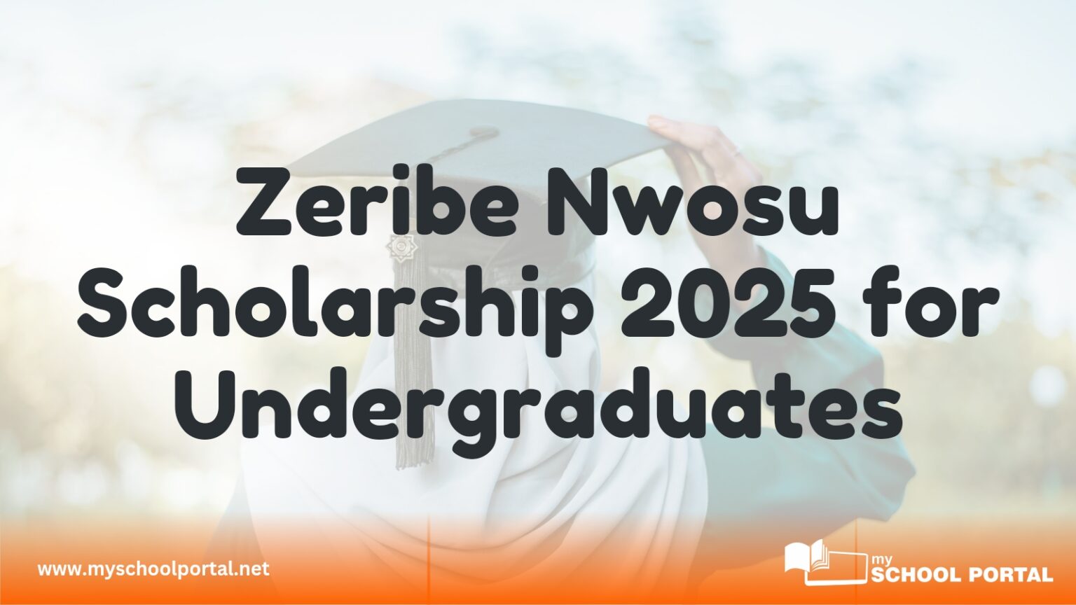 Zeribe Nwosu Scholarship 2025 for Undergraduates