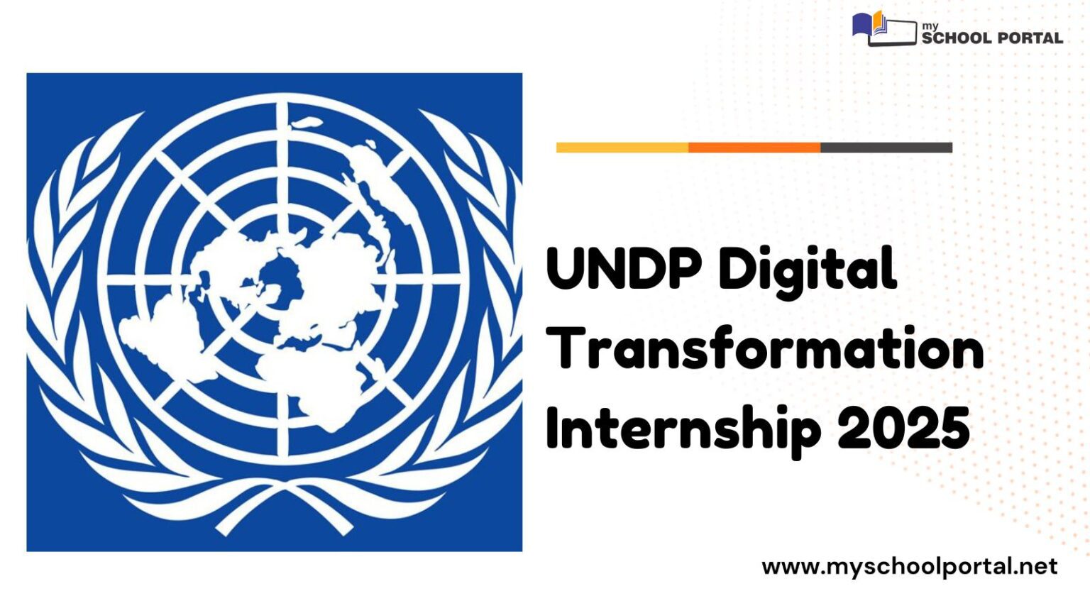 UNDP Digital Transformation Internship 2025